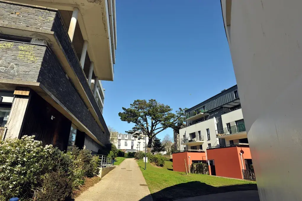 Chemin au milieu de logements d'habitation et au bout du chemin un arbre