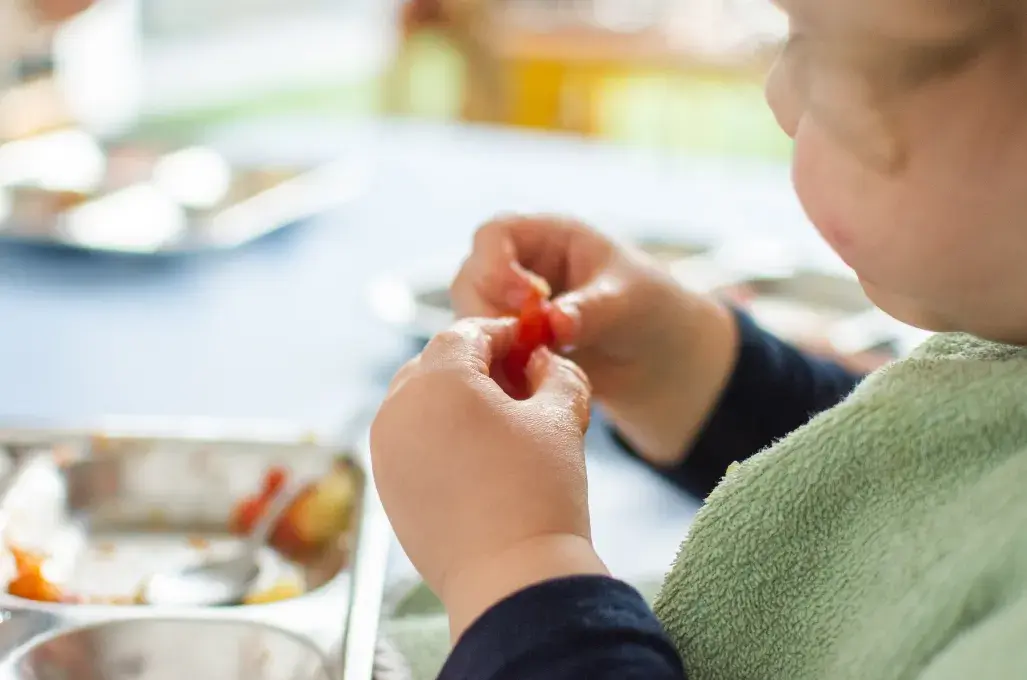 Les mains d'un enfant tiennent un fruit. 