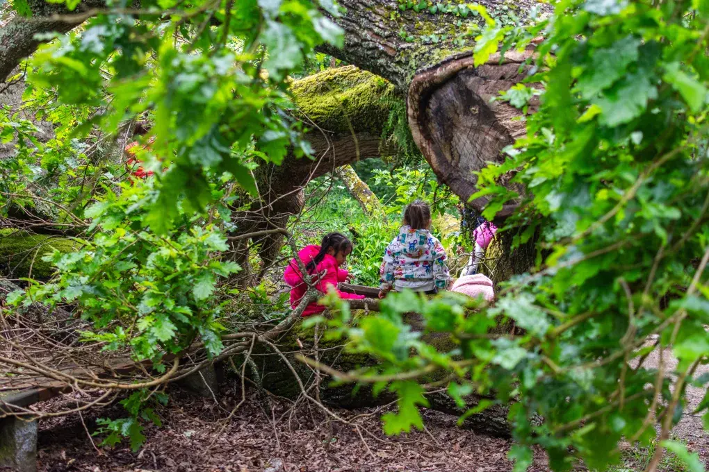 Des enfants jouent dans la nature.