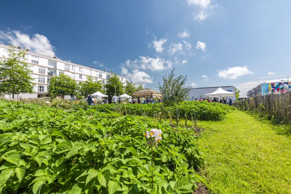 Un jardin sous le soleil.
