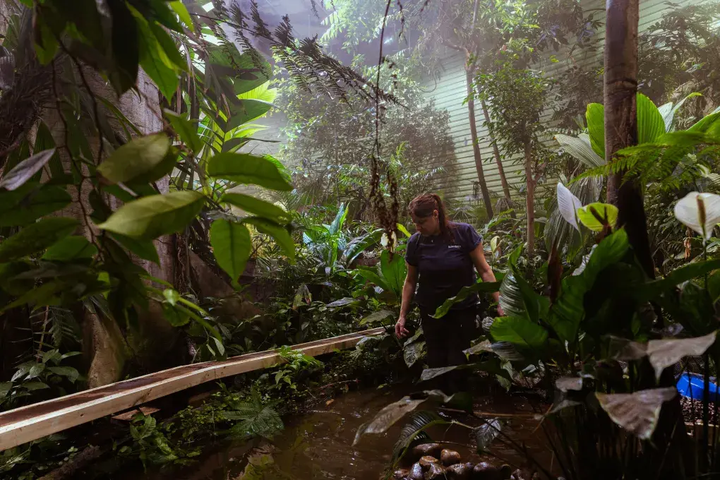 Une femme dans une serre.