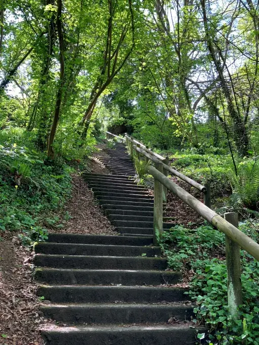 Des escaliers au cœur du parc de Kervallon