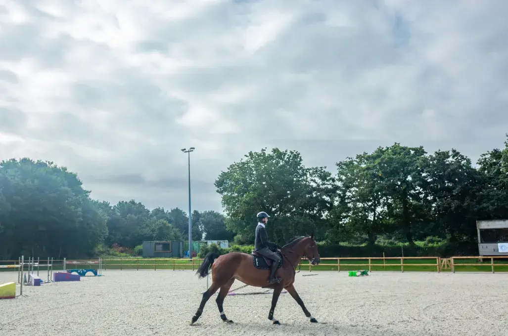 Un cavalier sur son cheval.