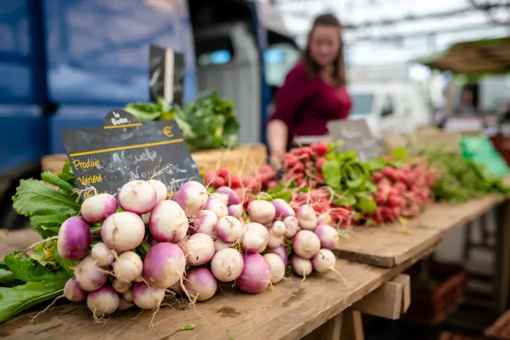 des navets et des radis sur un étal du marché