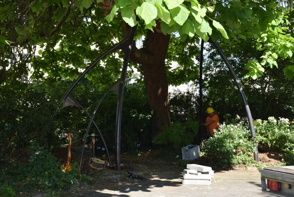 Une structure métallique sous un arbre.