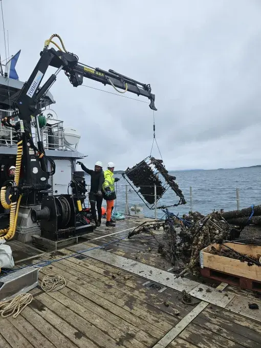 Des hommes récupèrent des déchets sous-marins sur un bateau de pêchee