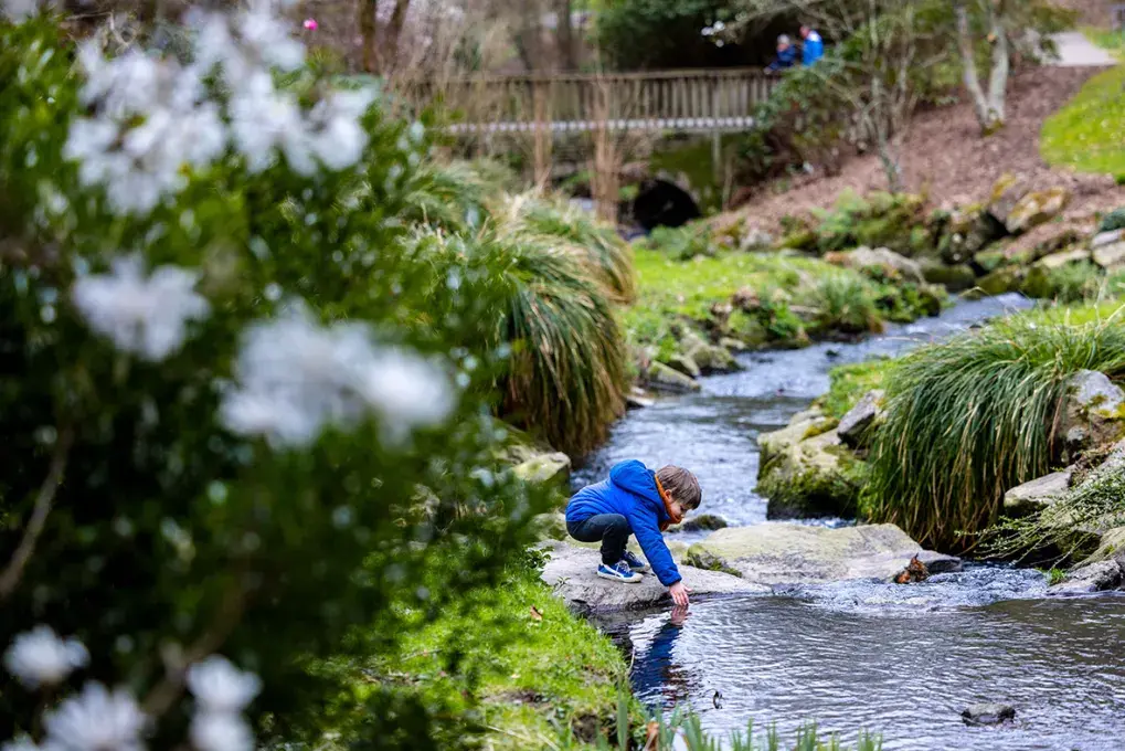 un enfant sur une pierre la main dans une rivière