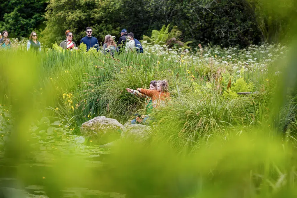 des personnes se baladant dans un jardin