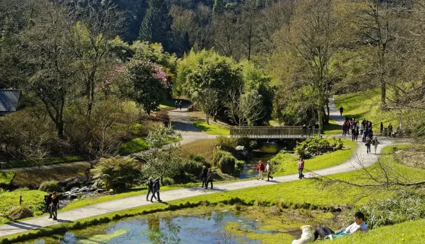 Promenade au Vallon du Stang Alar 