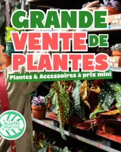 Grande vente de plantes aux Capucins