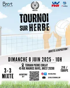 Tournoi de Volley sur Herbe
