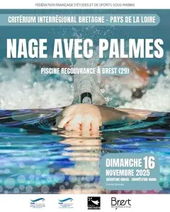 Critérium interrégional de nage avec palmes