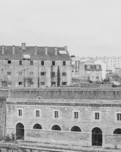 Le bâtiment aux lions