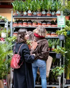 Grande Ventes de Plantes aux Capucins