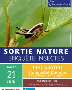 Sortie Nature : Enquête insecte