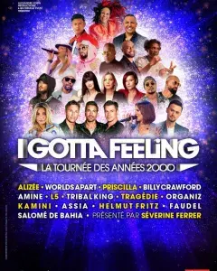 I GOTTA FEELING La tournée des années 2000