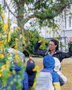 Visite guidée de l'exposition Brest, ville d’arbres et d’histoires