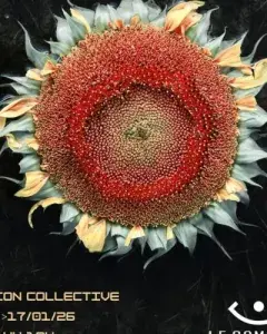 Exposition Nature Double : Paysage et Bestiaire