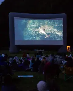 Ciné plein air - En solitaire Ciné plein air - En solitaire