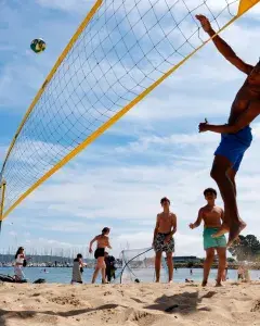 Vendredis du sport Vendredis du sport