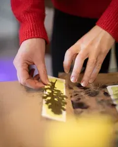 Atelier cyanotype Atelier cyanotype