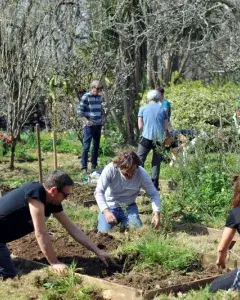 Visite guidée : Le chêne couché d'Armagnac