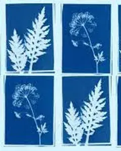 Atelier Art et botanique