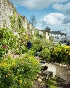 Visite guidée du jardin Extraordinaire de Brest Visite guidée du jardin Extraordinaire de Brest