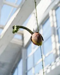 Visite guidée de Passerelle Centre d'art contemporain
