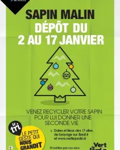 Opération Sapin malin