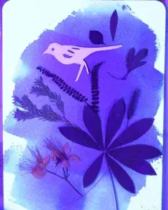 Atelier - Art et botanique