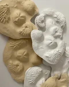 Visite guidée - A la découverte des minéraux et fossiles des collections de l'Université