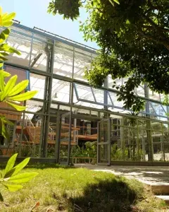 Visite guidée - La banque de graines