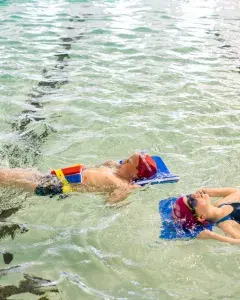 Stage de natation