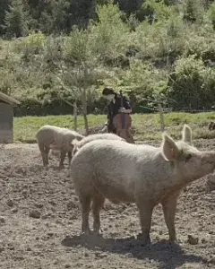 Autoportrait aux refuges d’animaux d’élevage - Patricia Allio