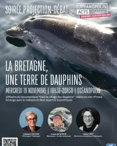 Soirée projection -débat : La Bretgne, une terre de dauphins