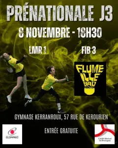 Championnat de Badminton Prénationale 