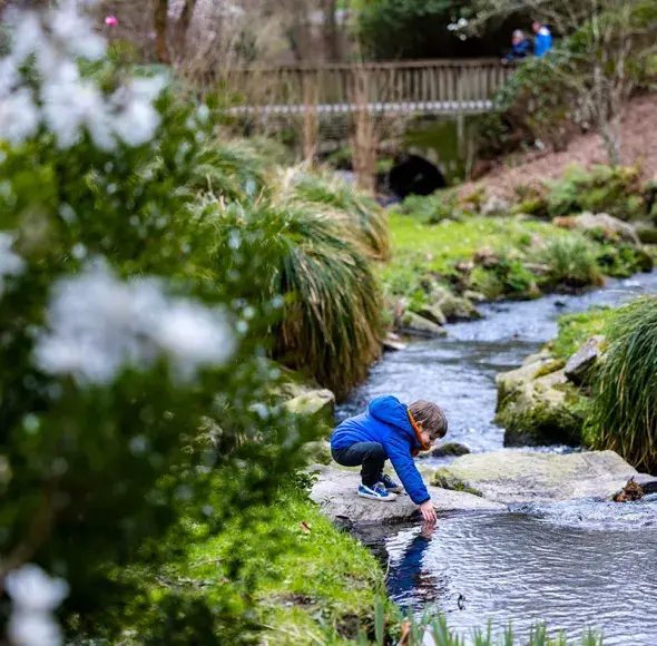 un enfant sur une pierre la main dans une rivière