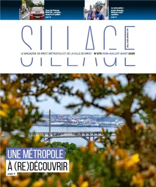 vu du pont de Brest à travers les feuillages