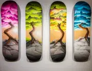 Des planches de skate décorées.