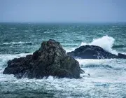 Des vagues sur des rochers.