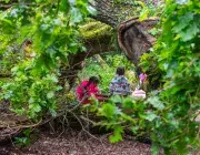 Des enfants jouent dans la nature.