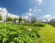 Un jardin sous le soleil.