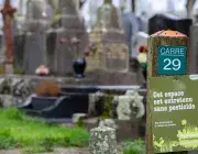 Vue d'un cimetière brestois, avec un panneau informant de l'entretien sans pesticides 