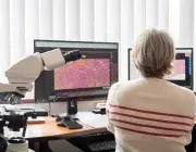 Une femme observe des écrans d'ordinateur.