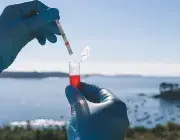 Deux mains gantées portent un tube d'analyse, face à la rade de Brest 