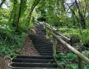 Des escaliers au cœur du parc de Kervallon