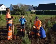 De senfants en train de planter des arbustes 