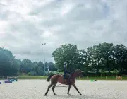 Un cavalier sur son cheval.