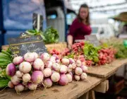 des navets et des radis sur un étal du marché